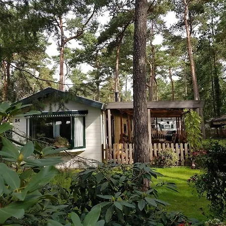 Mooi Chalet Met Grote Tuin Op Een 4 Sterren Park. Doornspijk Buitenkant foto