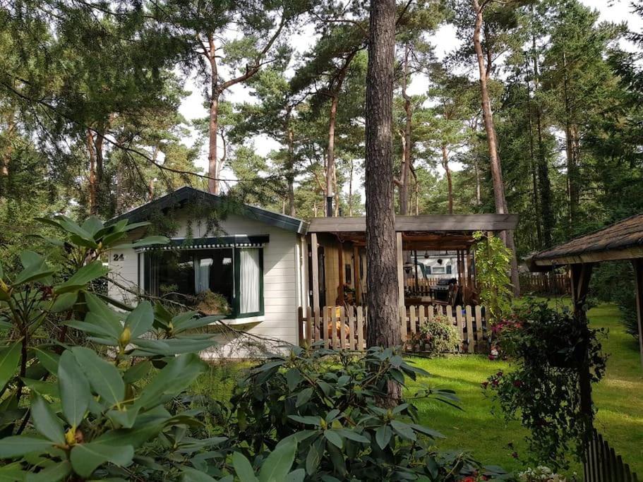 Mooi Met Grote Tuin Op 4 Sterren Park. * Doornspijk